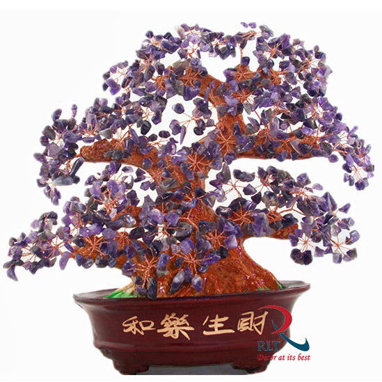 Money Tree A 782