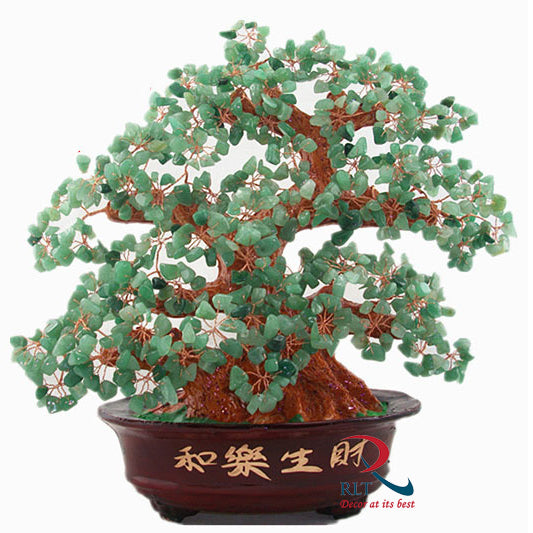 Money Tree A 782