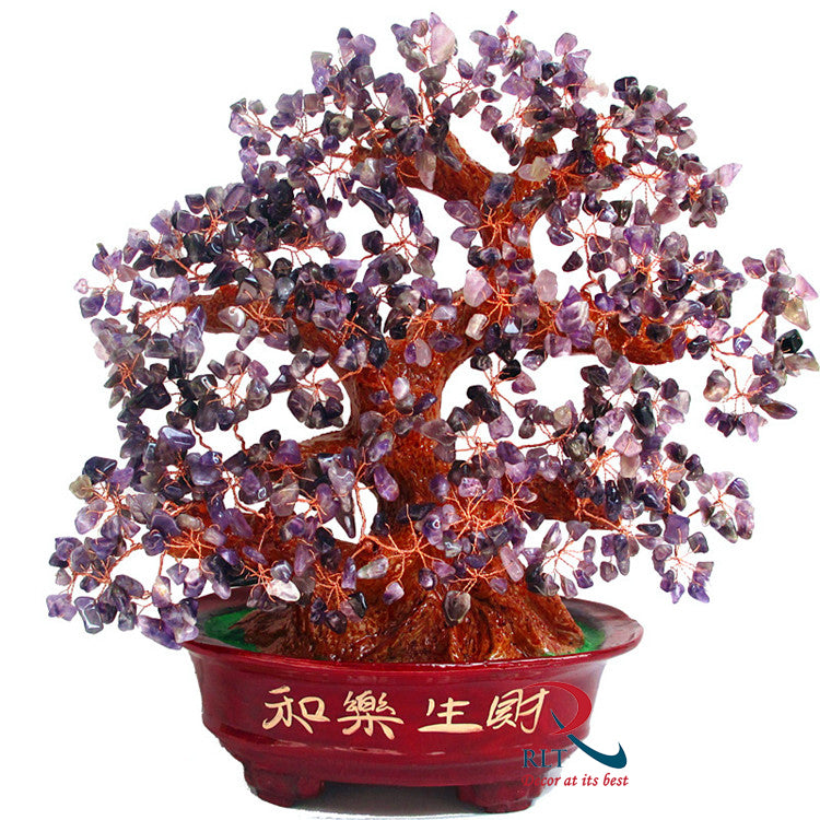 Money Tree A 782