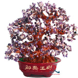 Money Tree A 782