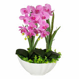 Wild Orchid with Ceramic Vase: