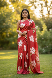Multi Colour Saree