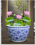 Flower Pot Blue Chakra