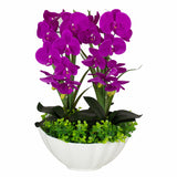 Wild Orchid with Ceramic Vase: